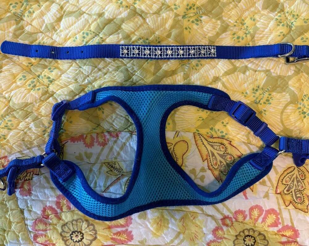 GUC Soft Wrap Dog Harness Blue Extra Small and Small rhinestone collar
